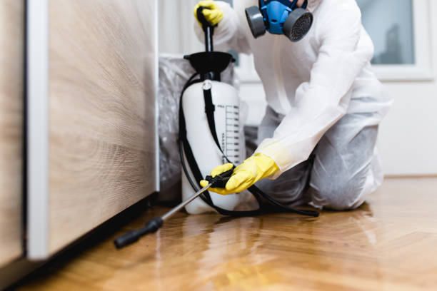 Best Residential Pest Control  in Palm Harbor, FL