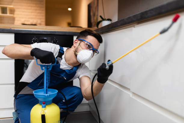 Best Affordable Pest Control Services  in Palm Harbor, FL