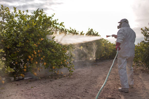 Best Best Pest Control Companies  in Palm Harbor, FL