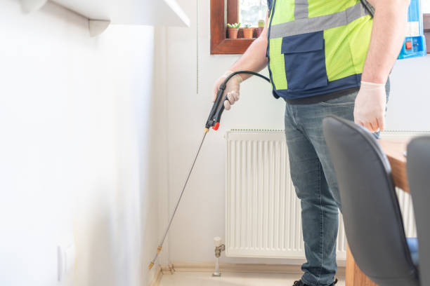 Best Exterminator Services  in Palm Harbor, FL