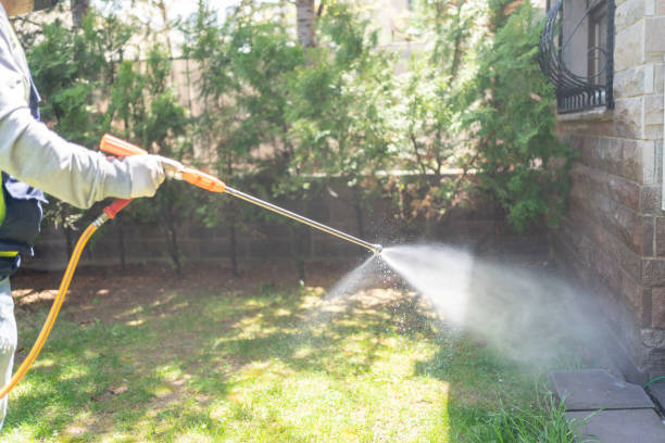 Best Commercial Pest Control Services  in Palm Harbor, FL
